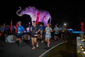 BIB: 
                            <button type="button" onclick="openModal(26551971)" class="btn btn-primary btn-sm float-right btn-popup" data-toggle="modal" data-target=".modal-high-quality">
                        <i class="fas fa-shopping-cart"></i> Add to Cart
                    </button>
                                            <button type="button" onclick="isThisMe(26551971, true)" class="btn btn-success btn-sm float-right btn-popup btn-isme hidden" data-toggle="tooltip" data-placement="bottom" title="นี่คือรูปของคุณใช่ไหม คลิกที่นี่เพื่อเอาเข้าอัลบั้ม">
                        <i class="fas fa-plus"></i> Add to album
                    </button>
                    <button type="button" onclick="isThisMe(26551971, false)" class="btn btn-warning btn-sm float-right btn-popup btn-isnotme hidden">
                        <i class="fas fa-ban"></i> Remove from album
                    </button>